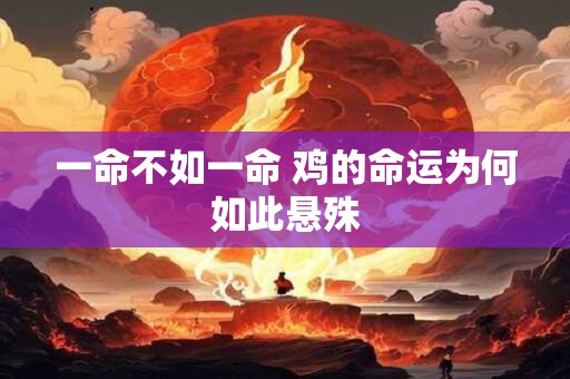 详细阅读:一命不如一命 鸡的命运为何如此悬殊 一命不如一命 鸡的命运为何如此悬殊