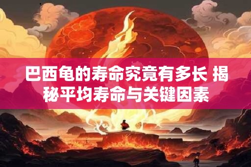 巴西龟的寿命究竟有多长 揭秘平均寿命与关键因素