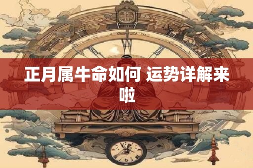 正月属牛命如何 运势详解来啦