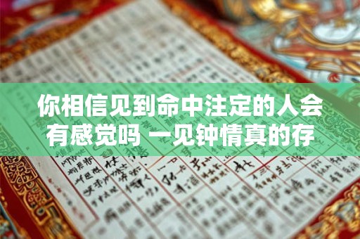 你相信见到命中注定的人会有感觉吗 一见钟情真的存在
