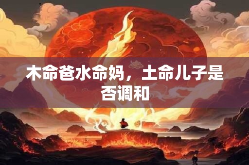 木命爸水命妈，土命儿子是否调和