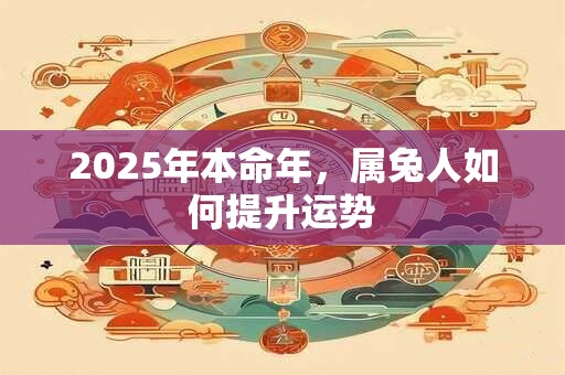 2025年本命年，属兔人如何提升运势