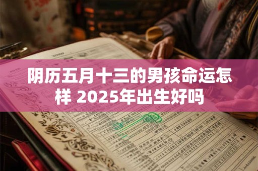 阴历五月十三的男孩命运怎样 2025年出生好吗