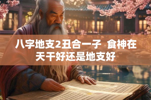 八字地支2丑合一子 食神在天干好还是地支好 八字地支2丑合一子 食神在天干好还是地支好