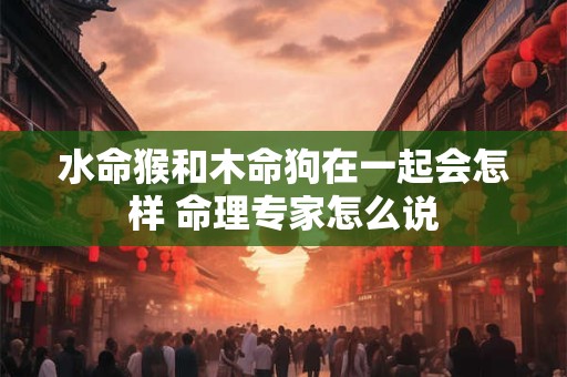 水命猴和木命狗在一起会怎样 命理专家怎么说