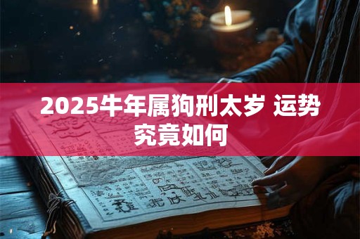 2025牛年属狗刑太岁 运势究竟如何