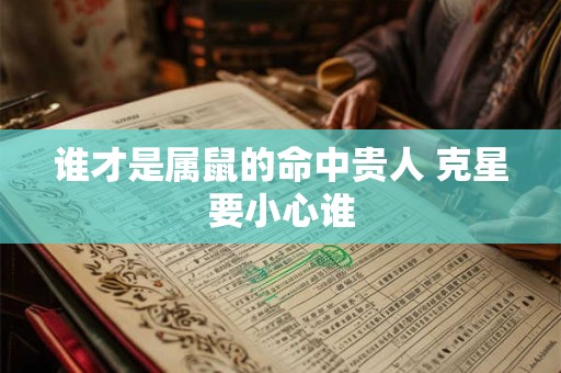 谁才是属鼠的命中贵人 克星要小心谁