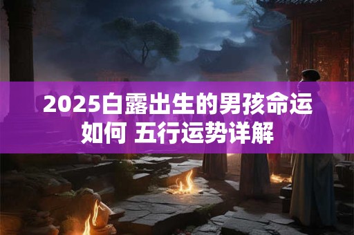 2025白露出生的男孩命运如何 五行运势详解
