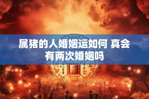 属猪的人婚姻运如何 真会有两次婚姻吗