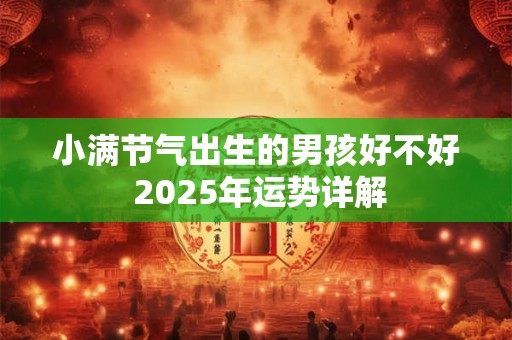 小满节气出生的男孩好不好 2025年运势详解