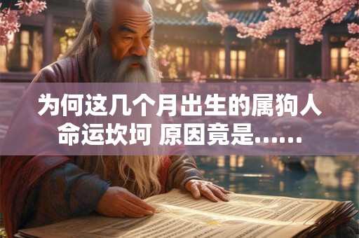 为何这几个月出生的属狗人命运坎坷 原因竟是……