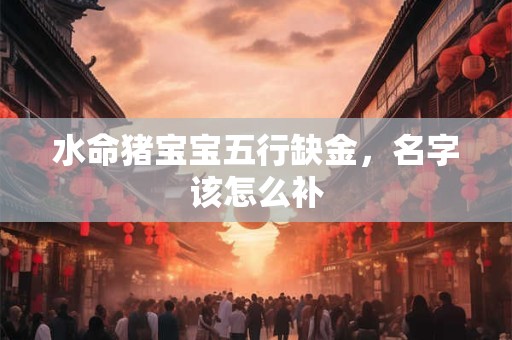 水命猪宝宝五行缺金，名字该怎么补