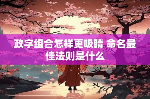详细阅读:政字组合怎样更吸睛 命名最佳法则是什么 政字组合怎样更吸睛 命名最佳法则是什么