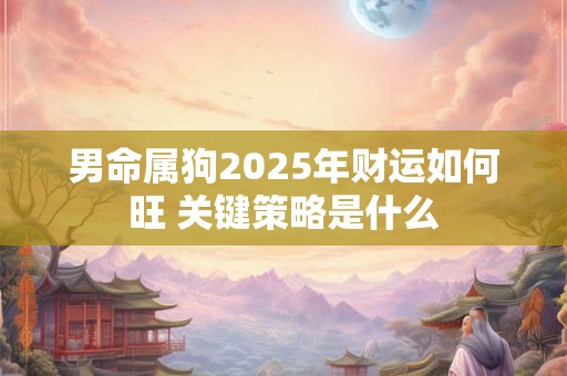 男命属狗2025年财运如何旺 关键策略是什么