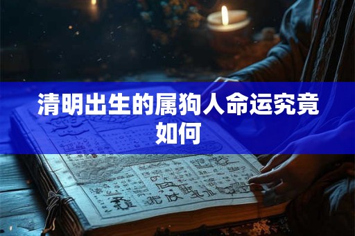 清明出生的属狗人命运究竟如何 清明出生的属狗人命运究竟如何