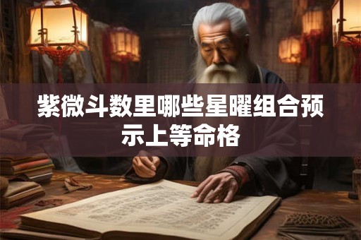 紫微斗数里哪些星曜组合预示上等命格