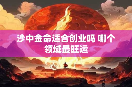 沙中金命适合创业吗 哪个领域最旺运