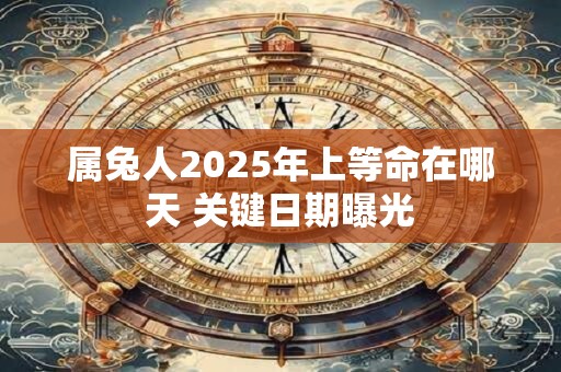 属兔人2025年上等命在哪天 关键日期曝光