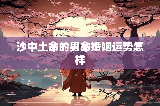 沙中土命的男命婚姻运势怎样