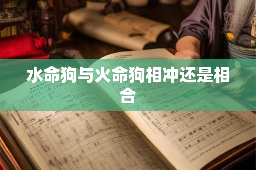 水命狗与火命狗相冲还是相合