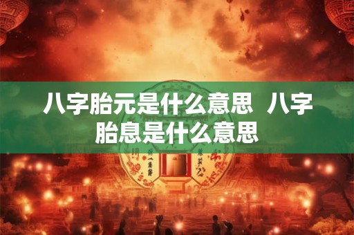 八字胎元是什么意思  八字胎息是什么意思