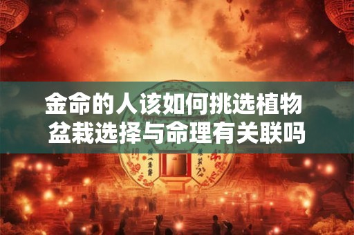 金命的人该如何挑选植物 盆栽选择与命理有关联吗