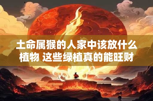 土命属猴的人家中该放什么植物 这些绿植真的能旺财旺运吗