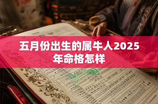 五月份出生的属牛人2025年命格怎样