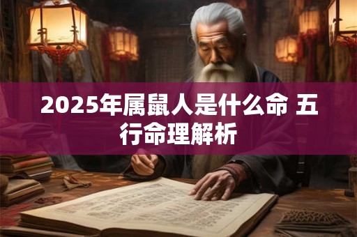 2025年属鼠人是什么命 五行命理解析