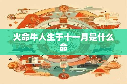 火命牛人生于十一月是什么命
