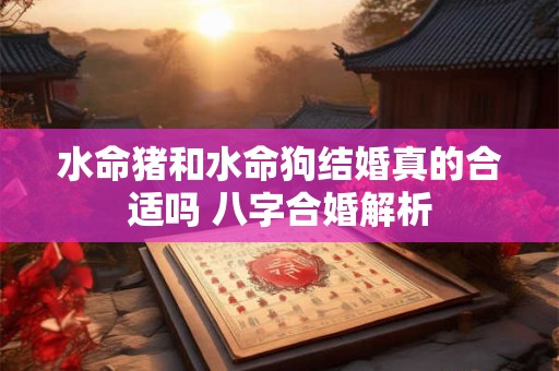 水命猪和水命狗结婚真的合适吗 八字合婚解析