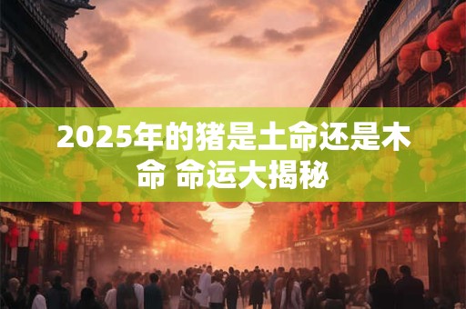 2025年的猪是土命还是木命 命运大揭秘