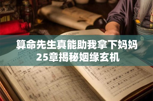 算命先生真能助我拿下妈妈 25章揭秘姻缘玄机