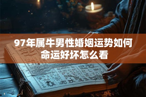 97年属牛男性婚姻运势如何 命运好坏怎么看