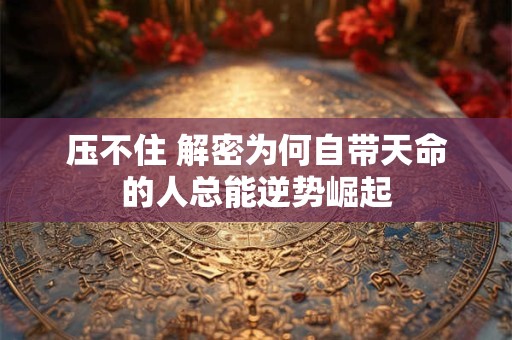 压不住 解密为何自带天命的人总能逆势崛起