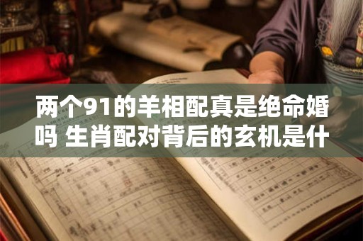 两个91的羊相配真是绝命婚吗 生肖配对背后的玄机是什么