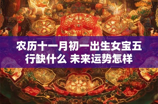 农历十一月初一出生女宝五行缺什么 未来运势怎样