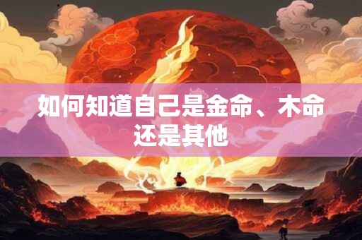 如何知道自己是金命、木命还是其他