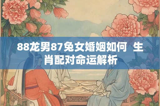 88龙男87兔女婚姻如何  生肖配对命运解析