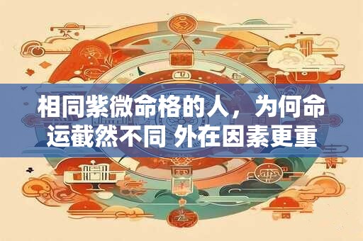 相同紫微命格的人，为何命运截然不同 外在因素更重要吗