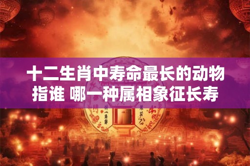 十二生肖中寿命最长的动物指谁 哪一种属相象征长寿