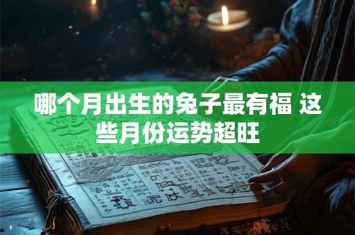 哪个月出生的兔子最有福 这些月份运势超旺
