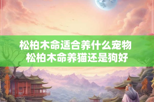 松柏木命适合养什么宠物 松柏木命养猫还是狗好