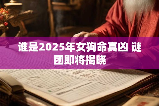 谁是2025年女狗命真凶 谜团即将揭晓
