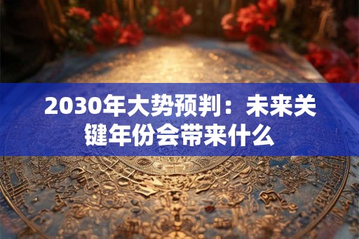 详细阅读:2030年大势预判:未来关键年份会带来什么 2030年大势预判:未来关键年份会带来什么