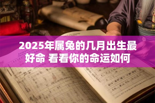 2025年属兔的几月出生最好命 看看你的命运如何