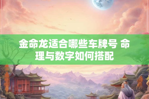 金命龙适合哪些车牌号 命理与数字如何搭配