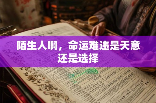 陌生人啊，命运难违是天意还是选择
