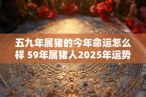 五九年属猪的今年命运怎么样 59年属猪人2025年运势如何