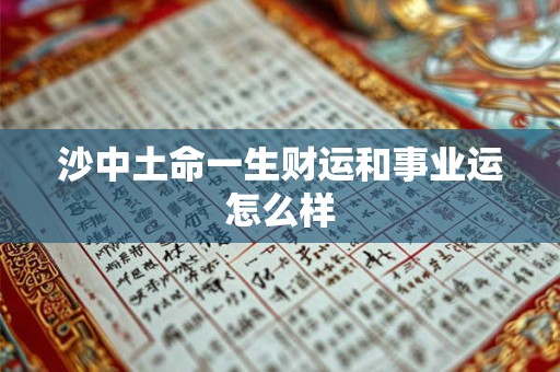 沙中土命一生财运和事业运怎么样